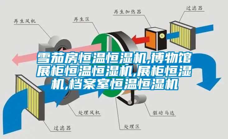 雪茄房恒温恒湿机,博物馆展柜恒温恒湿机,展柜恒湿机,档案室恒温恒湿机