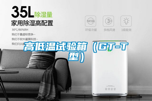 高低温试验箱（GT-T型）