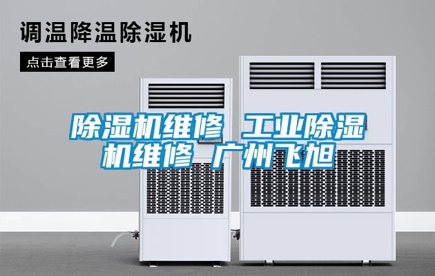 除湿机维修 工业除湿机维修 广州飞旭