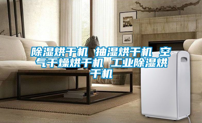 除湿烘干机 抽湿烘干机 空气干燥烘干机 工业除湿烘干机