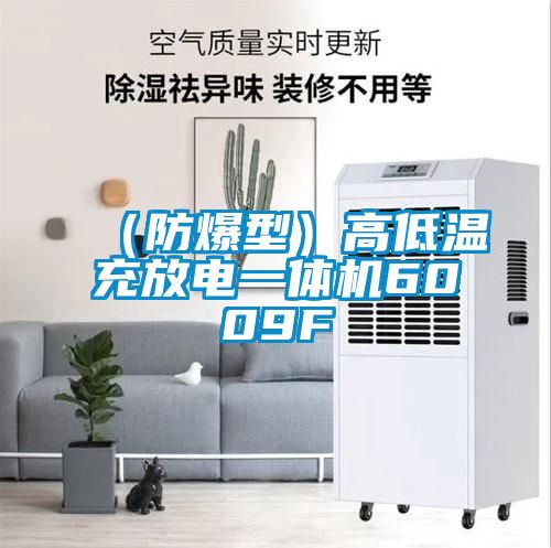 （防爆型）高低温充放电一体机6009F
