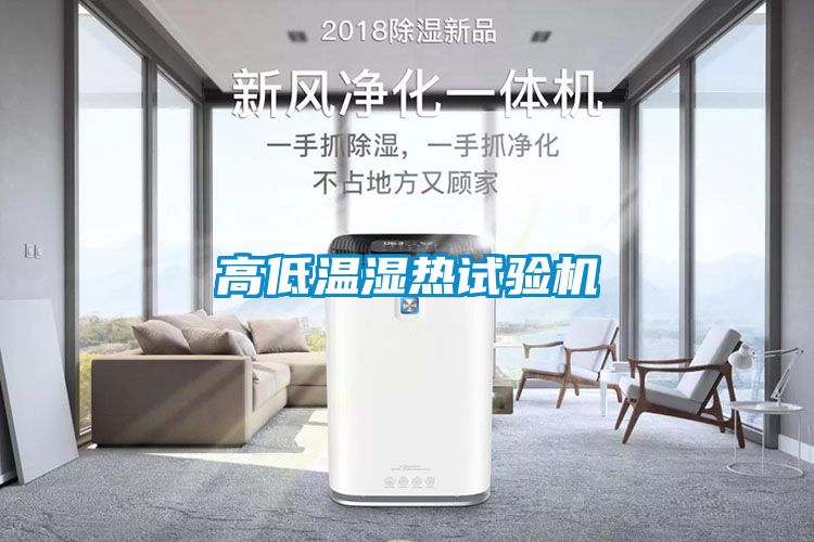 高低温湿热试验机