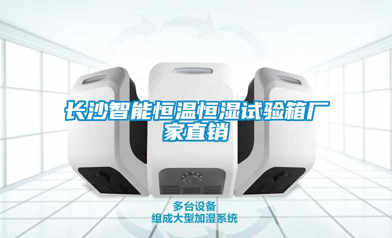 长沙智能恒温恒湿试验箱厂家直销