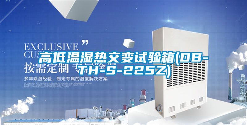 高低温湿热交变试验箱(DB-TH-S-225Z)