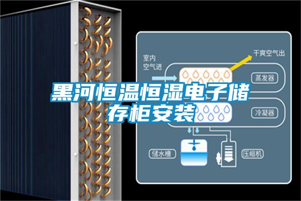 黑河恒温恒湿电子储存柜安装