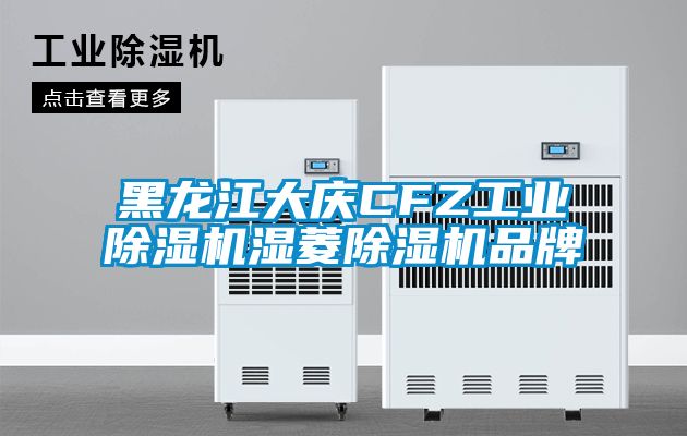 黑龙江大庆CFZ工业除湿机湿菱除湿机品牌