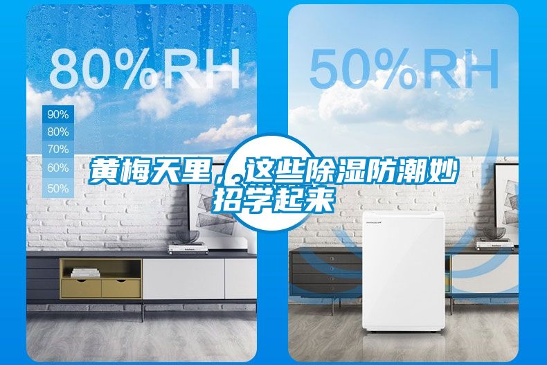 黄梅天里，这些除湿防潮妙招学起来