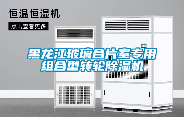 黑龙江玻璃合片室专用组合型转轮除湿机