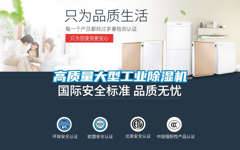 高质量大型工业除湿机
