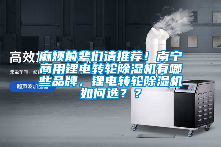 麻烦前辈们请推荐！南宁商用锂电转轮除湿机有哪些品牌，锂电转轮除湿机如何选？？