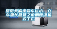 回南天偏逢爱车进水，在车里长蘑菇之前用除湿机救了它
