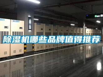 企业新闻除湿机哪些品牌值得推荐