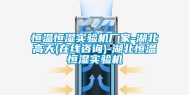 恒温恒湿实验机厂家-湖北高天(在线咨询)-湖北恒温恒湿实验机