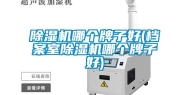 除湿机哪个牌子好(档案室除湿机哪个牌子好)