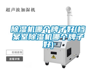 行业新闻除湿机哪个牌子好(档案室除湿机哪个牌子好)