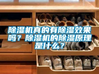 行业新闻除湿机真的有除湿效果吗？除湿机的除湿原理是什么？