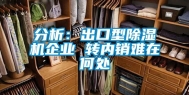 分析：出口型除湿机企业 转内销难在何处