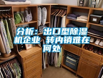 企业新闻分析：出口型除湿机企业 转内销难在何处