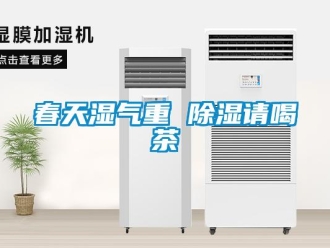 企业新闻春天湿气重 除湿请喝茶