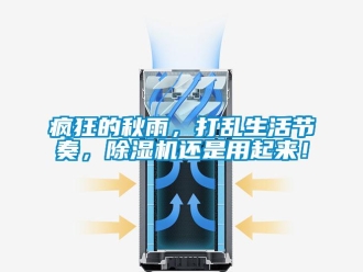 企业新闻疯狂的秋雨，打乱生活节奏，除湿机还是用起来！