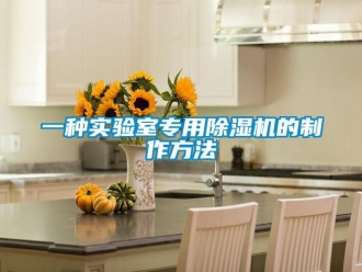 行业新闻一种实验室专用除湿机的制作方法