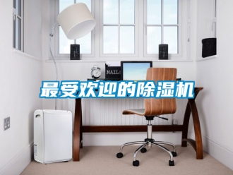 行业新闻最受欢迎的除湿机