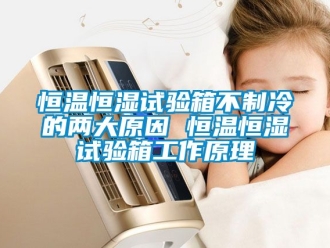 知识百科恒温恒湿试验箱不制冷的两大原因 恒温恒湿试验箱工作原理
