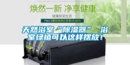 天然浴室“除湿器” 浴室绿植可以这样摆放！