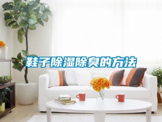 企业新闻鞋子除湿除臭的方法