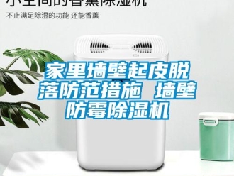 行业新闻家里墙壁起皮脱落防范措施 墙壁防霉除湿机