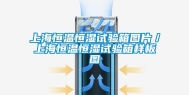 上海恒温恒湿试验箱图片／上海恒温恒湿试验箱样板图