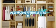 大型步入式恒温恒湿试验室