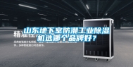 山东地下室防潮工业除湿机选哪个品牌好？