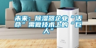 未来：除湿器企业“活命”需做技术上的“巨人”