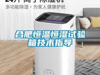 知识百科合肥恒温恒湿试验箱技术指导