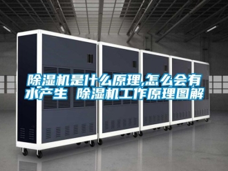 行业新闻除湿机是什么原理,怎么会有水产生 除湿机工作原理图解