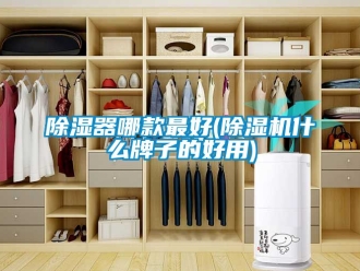 行业新闻除湿器哪款最好(除湿机什么牌子的好用)