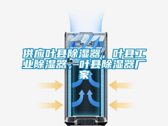 行业新闻供应叶县除湿器，叶县工业除湿器，叶县除湿器厂家