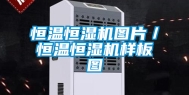 恒温恒湿机图片／恒温恒湿机样板图