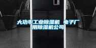 大功率工业除湿机 电子厂用除湿机公司