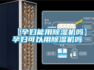 企业新闻【孕妇能用除湿机吗】孕妇可以用除湿机吗