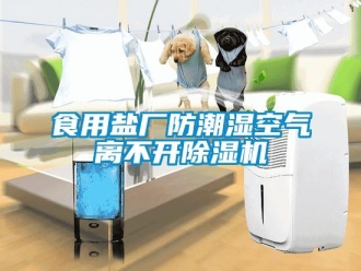 知识百科食用盐厂防潮湿空气离不开除湿机