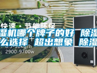 行业新闻除湿机哪个牌子的好 除湿机怎么选择 超出想象 除湿机