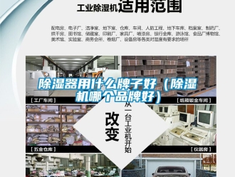 企业新闻除湿器用什么牌子好（除湿机哪个品牌好）