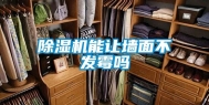 除湿机能让墙面不发霉吗
