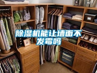 行业新闻除湿机能让墙面不发霉吗