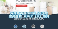 天花板内置DC薄型自动除湿风管机 RPIZ（D）系列