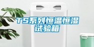 TS系列恒温恒湿试验箱