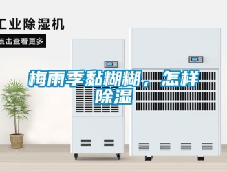 常见问题梅雨季黏糊糊，怎样除湿