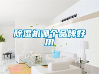 企业新闻除湿机哪个品牌好用